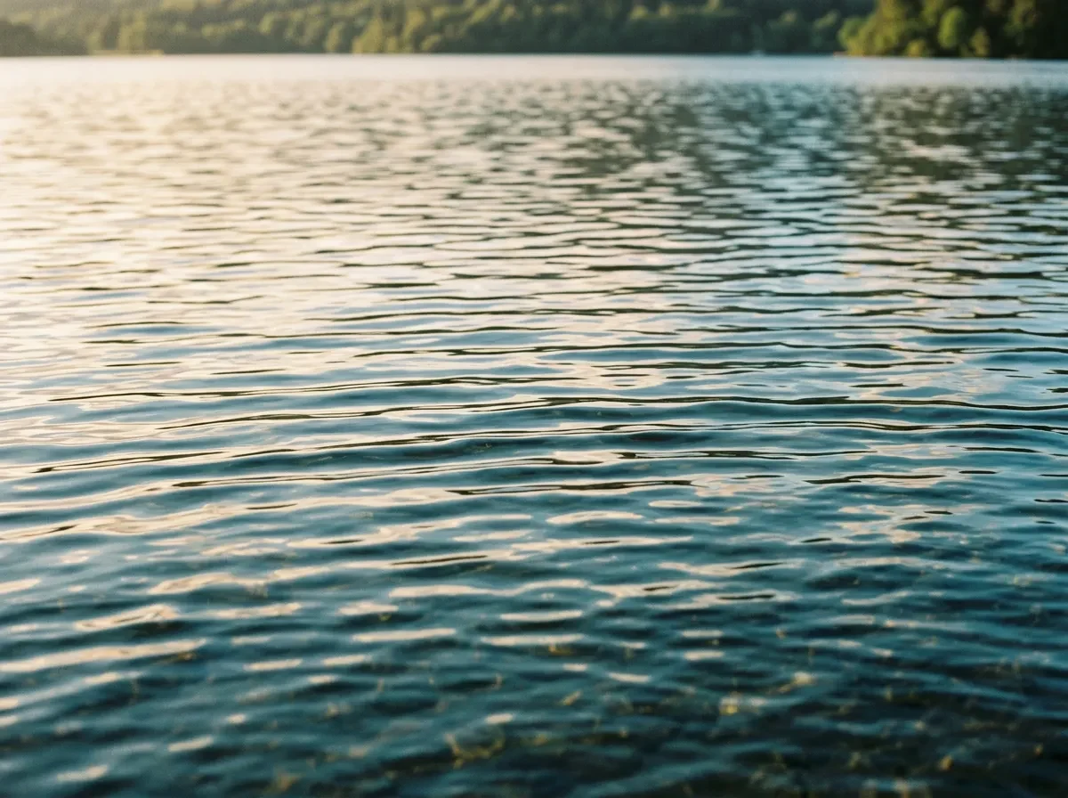 Ripples on clear lake water in morning light