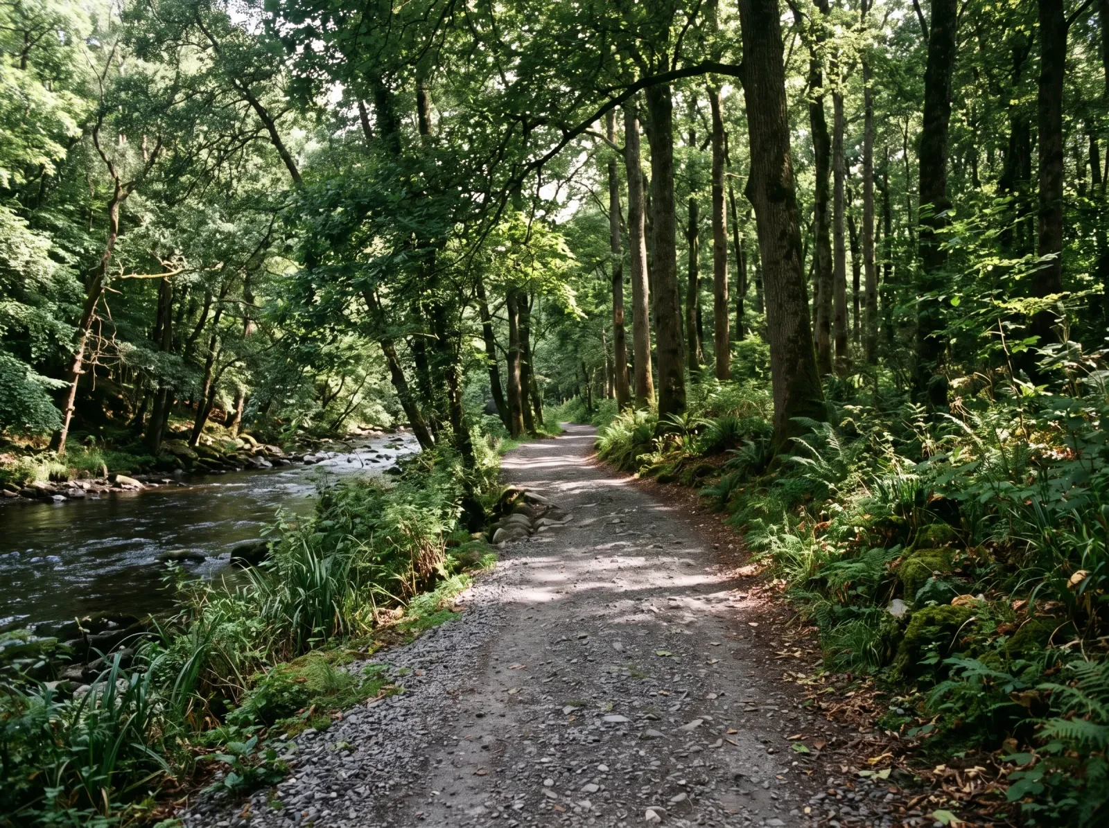 A shaded gravel path along a river under tall trees