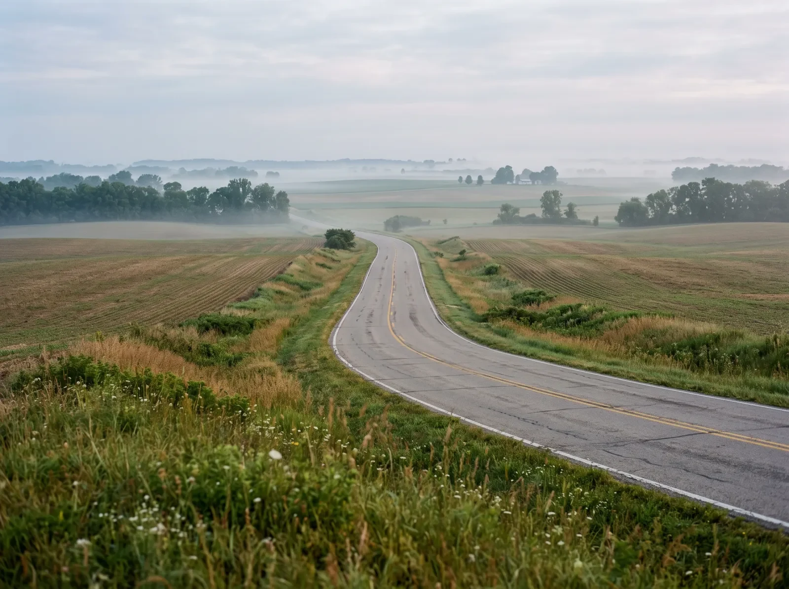An empty rural road crossing farmland in the early morning
