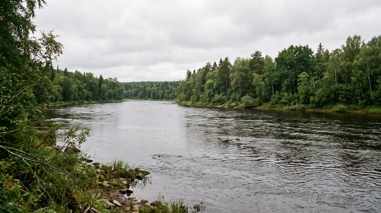 A wide slow river with wooded banks under flat daylight